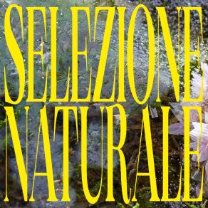 Download track Scala Dell'Essere Selezione Naturale