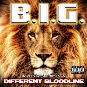 Download track Big Flips B. I. G.