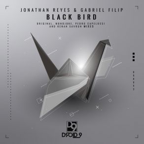 Download track Black Bird (Kenan Savrun Remix) Gabriel FilipKenan Savrun