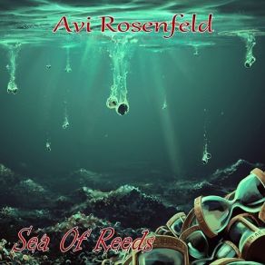 Download track Why Don't You Come Here Avi Rosenfeld