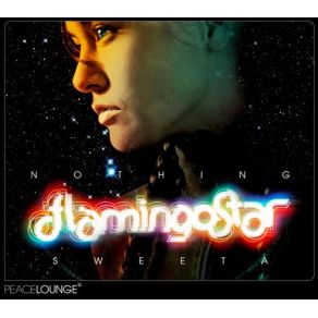 Download track The Messengers Flamingo Star