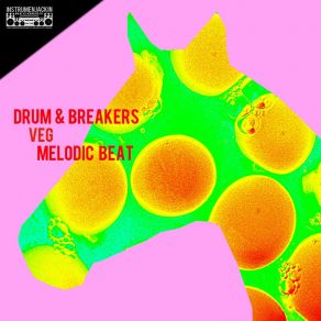 Download track Melodic Beat (Drums Mix DJ Tool) Veg