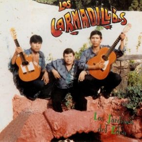 Download track Mateo Arellano Los Armadillos