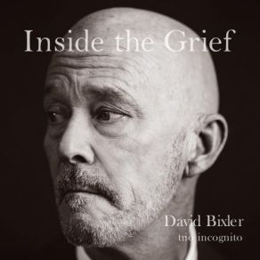 Download track Inside The Grief David Bixler Trio Incognito