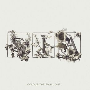 Download track Sea Shells Sia