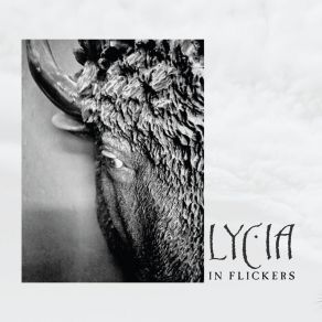 Download track A Failure Lycia