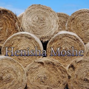 Download track Sense Write Henisha Moshe