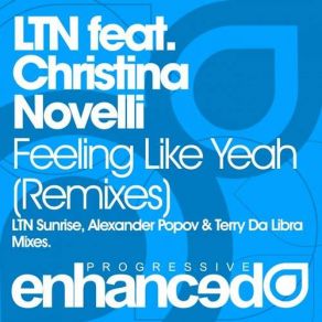 Download track Feeling Like Yeah (Terry Da Libra Remix) LTN, Christina Novelli