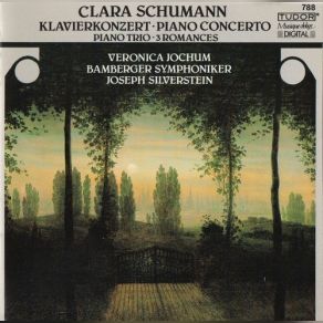 Download track Piano Concerto In A Minor Op. 7- Finale- Allegro Non Troppo Joseph Silverstein, Bamberger Symphoniker, Veronica Jochum