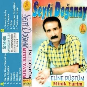 Download track Yanıyorum Gençliğime Seyfi Doğanay