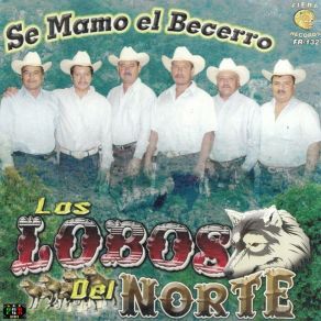 Download track Voy A Llorar Por Ti Los Lobos Del Norte