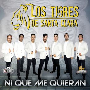 Download track Ni Que Me Quieran Tigres De Santa Clara