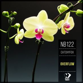 Download track Overflow (Original Mix) CatchyFox