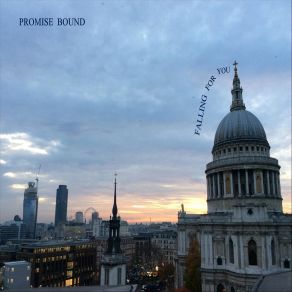 Download track Falling For You Promise Bound