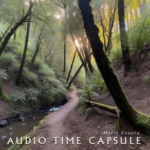 Download track Birds (California Forest) Audio Time Capsule