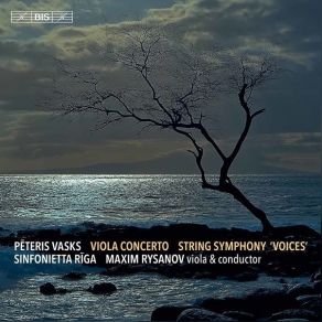 Download track 03. Concerto For Viola & String Orchestra III. Andante Pēteris Vasks