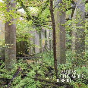 Download track Seuil 9 Mathias Delplanque