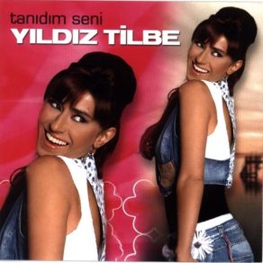 Download track Su Olsam Sensiz Akmam Yıldız Tilbe