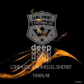 Download track Mawlaii (Extended Mix) Ahmed El Sheref