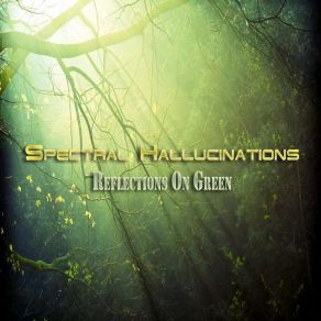 Download track Summer Rain Spectral Hallucinations