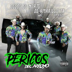 Download track Clave Privada (En Vivo) Los Pericos Del Arroyo