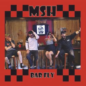 Download track Bar Fly MSH