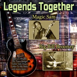 Download track In The Evening Magic Sam, Big Bill Broonzy