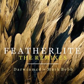 Download track Featherlite (People Theatre Pillow Remix) Mark Bebb, Darwinmcd