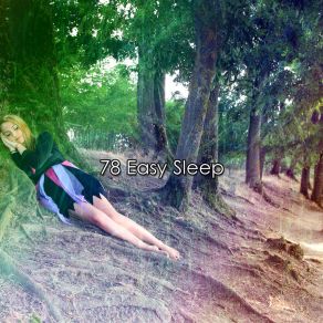 Download track Silky Smooth Sleep Spa Music Natural White Noise Sound Therapy
