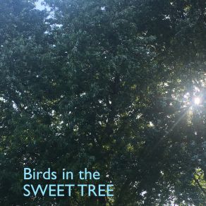 Download track Big Daddy Love Birds In The Sweet Tree