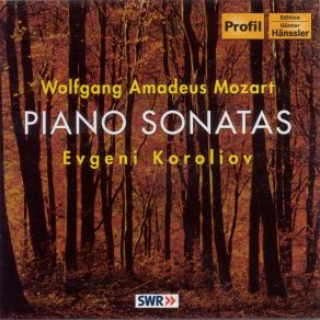 Download track Sonate Nr. 14 C-Moll, KV 457 - II. Adagio Evgeni Koroliov