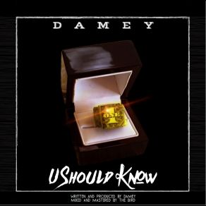 Download track U Should Know Damey