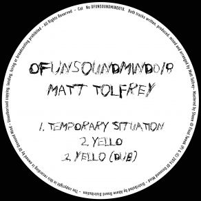 Download track Temporary Situation (Original Mix) Matt Tolfrey