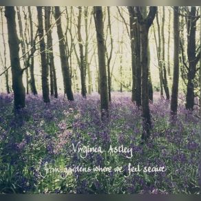 Download track Virginia Astley-Its Too Hot To Sleep Virginia Astley