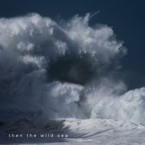 Download track Adrift The Wild Sea