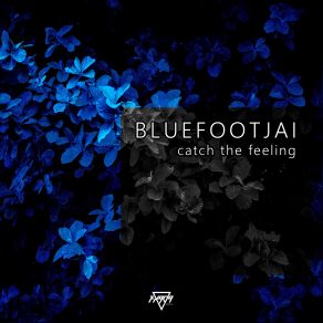 Download track Getting Into It Bluefootjai