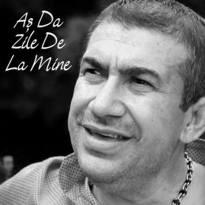 Download track Aș Da Zile De La Mine Stefan De La Barbulesti