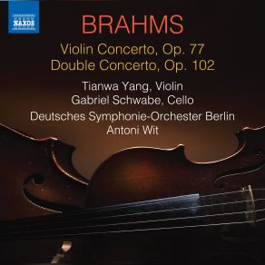 Download track Violin Concerto In D Major, Op. 77 - III. Allegro Giosoco, Ma Non Troppo Vivace Deutsches Symphonie - Orchester Berlin, Antoni Wit, Tianwa Yang