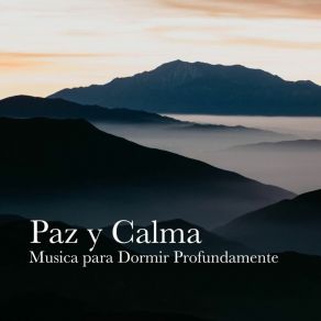 Download track Meditación Para La Calma Meditacion Calmada