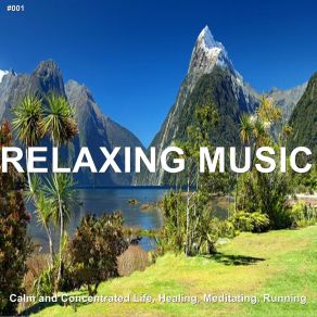 Download track Relaxing On The Beach Relaxing Music Therapy