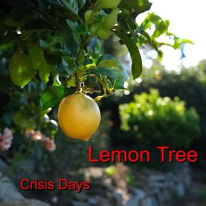 Download track Lemon Tree Crisis Days