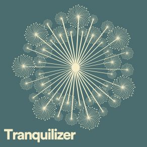 Download track Zany Ambient Musique Zen