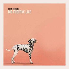 Download track Teddy I'm Ready Ezra Furman