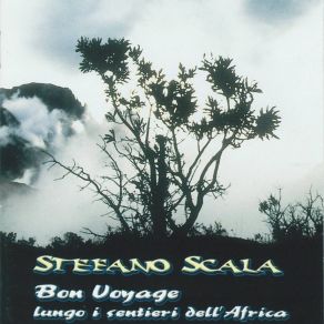 Download track Tradizionale Repubblica Centroafricana (Pt. 4) Stefano Scala