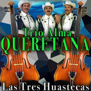 Download track El Zacamandu Trío Alma Queretana