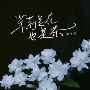 Download track 茉莉是花也是茶 (和声伴奏) 张宇佳