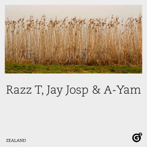 Download track Rain Waltz Razz T, Jay Josp