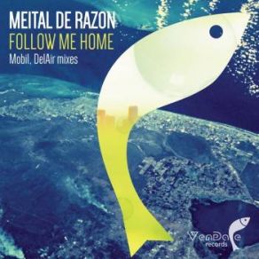 Download track Follow Me Home (Mobil Dub Mix) Meital De Razon