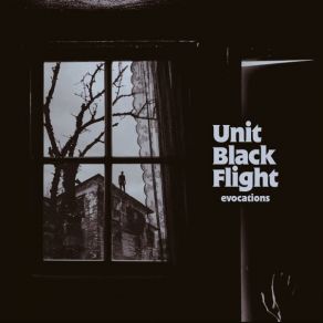 Download track Immaterial Reality (Antoni Maiovvi Remix) Unit Black Flight