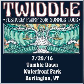 Download track Every Soul Twiddle